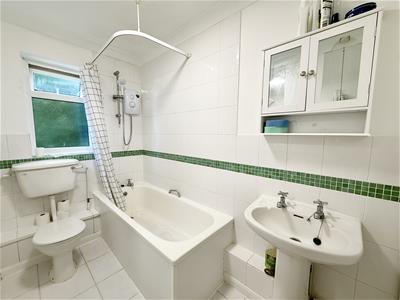 Picture 7